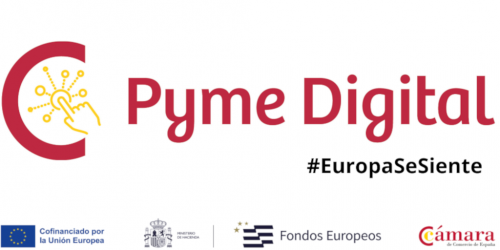 Pyme Digital inicio web