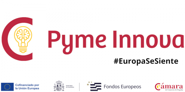 Pyme Innova inicio web